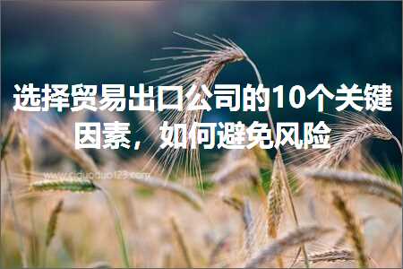 跨境电商知识:选择贸易出口公司的10个关键因素，如何避免风险