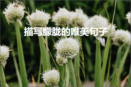 鎻忓啓鏈﹁儳鐨勫敮缇庡彞瀛愶紙鏂囨428鏉★級