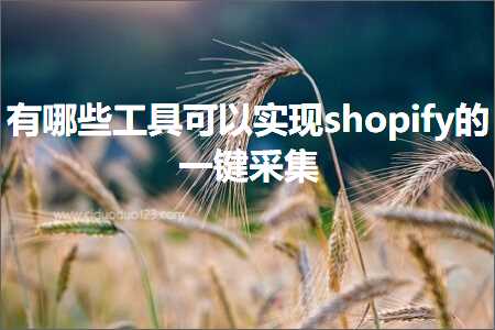 跨境电商知识:有哪些工具可以实现shopify的一键采集