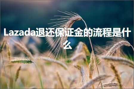 璺ㄥ鐢靛晢鐭ヨ瘑:Lazada閫€杩樹繚璇侀噾鐨勬祦绋嬫槸浠€涔? width=