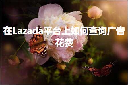 璺ㄥ鐢靛晢鐭ヨ瘑:鍦↙azada骞冲彴涓婂浣曟煡璇㈠箍鍛婅姳璐? width=