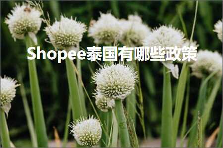 跨境电商知识:Shopee泰国有哪些政策