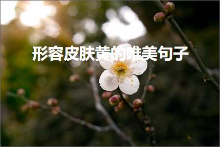 生活唯美句子大全（文案874条）