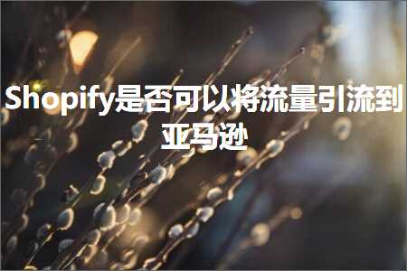 璺ㄥ鐢靛晢鐭ヨ瘑:Shopify鏄惁鍙互灏嗘祦閲忓紩娴佸埌浜氶┈閫? width=