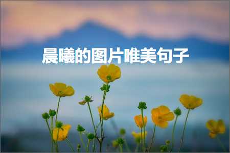 鏅ㄦ洣鐨勫浘鐗囧敮缇庡彞瀛愶紙鏂囨286鏉★級