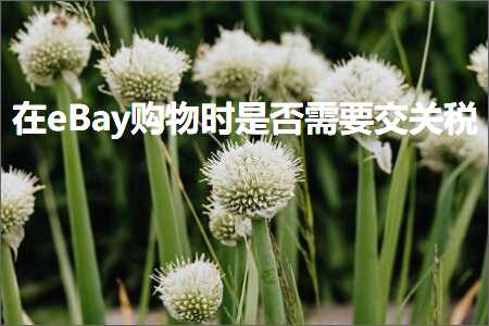 跨境电商知识:在eBay购物时是否需要交关税